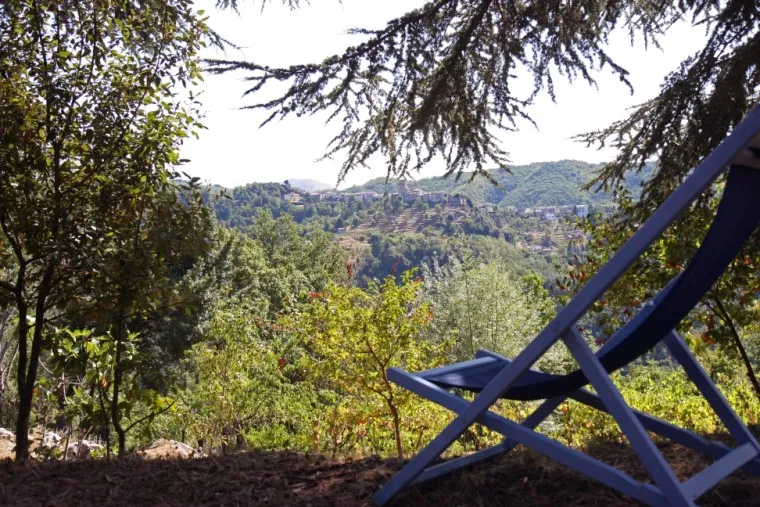 Sdraio nel solarium tra i rami, con vista sulle colline